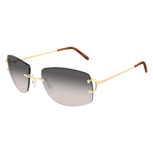 CT0008RS