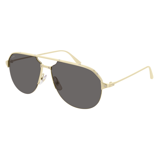 CT0229S