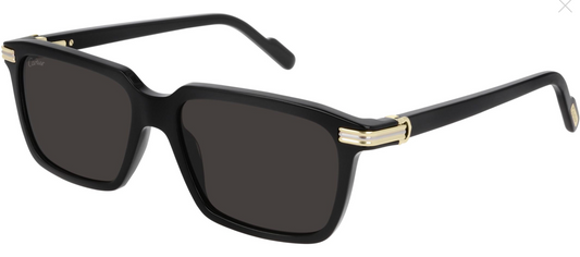 CT0220S